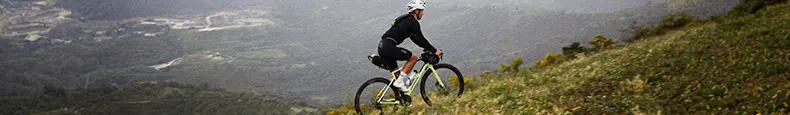 ORBEA