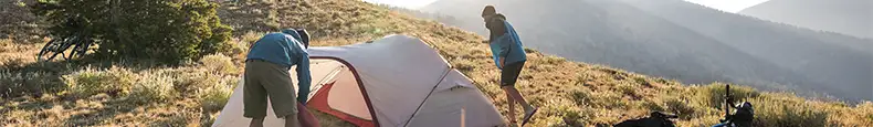 MSR