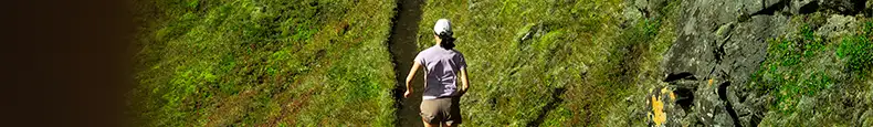 SALOMON