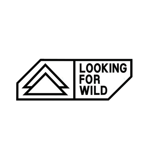 LOOKING FOR WILD