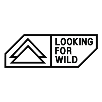 LOOKING FOR WILD