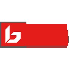 BOLLE