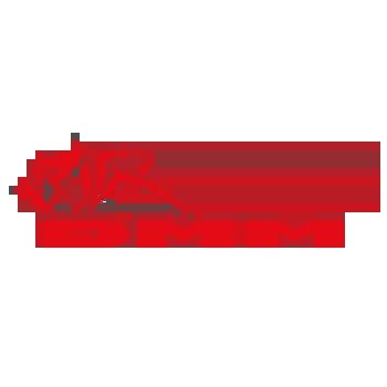 DMM