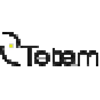 TOTEM CAM
