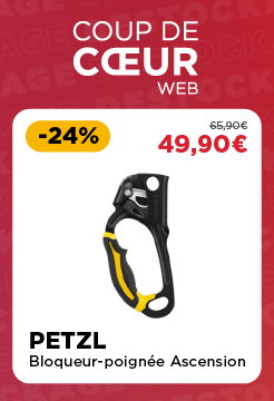 Ads