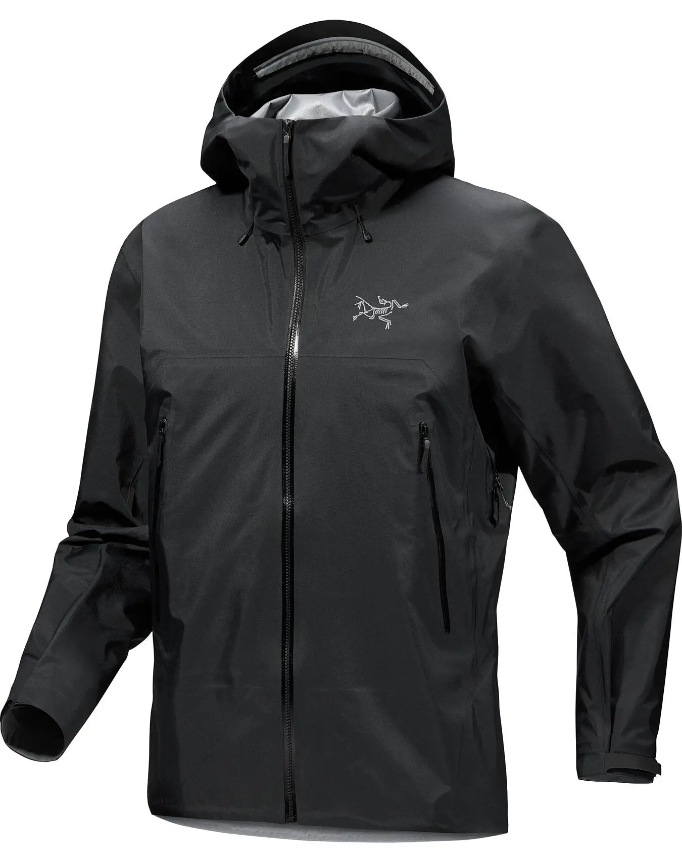 Veste Gtx Beta Sl Black - Veste | Arcteryx