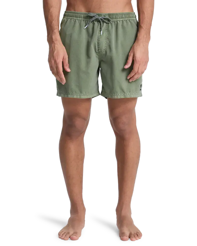 Everiday Surfwash Volley 15 Grape Leaf - Maillot de bain | Quiksilver