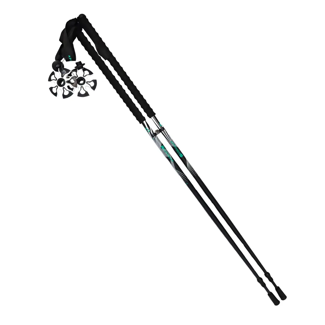 Bâtons Long Ride 2 Noir-Vert (paire) - Batons | Approach Outdoor