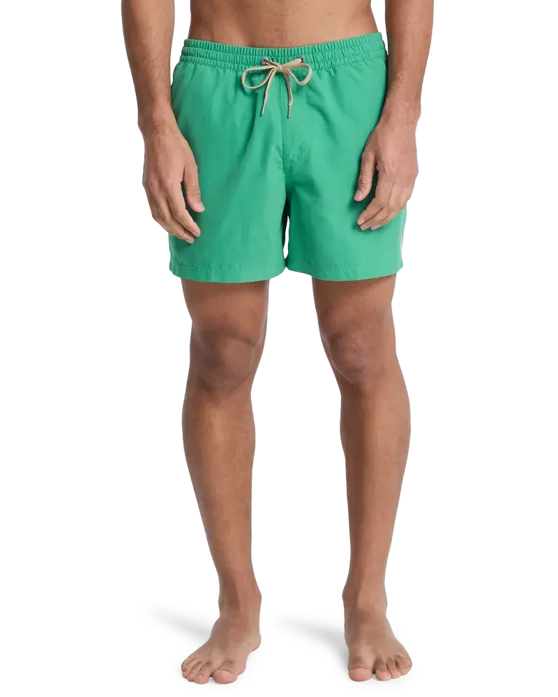 Everiday Volley 15 Leprechaun - Maillot de bain | Quiksilver