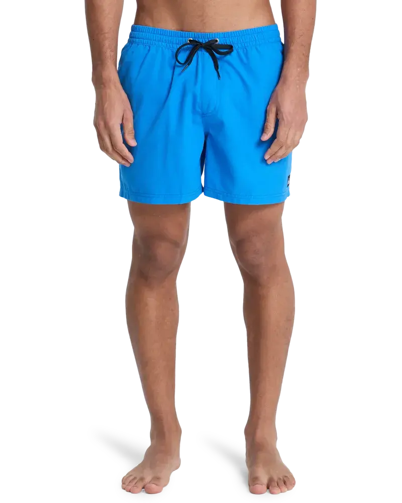 Everiday Volley 15 Nebulas Blue -Maillot de bain | Quiksilver