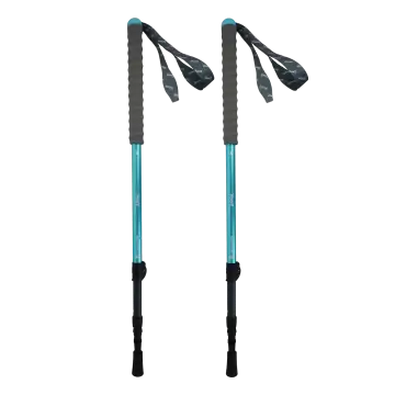 Trek Lights QBS Bleu (Paire) - Bâtons