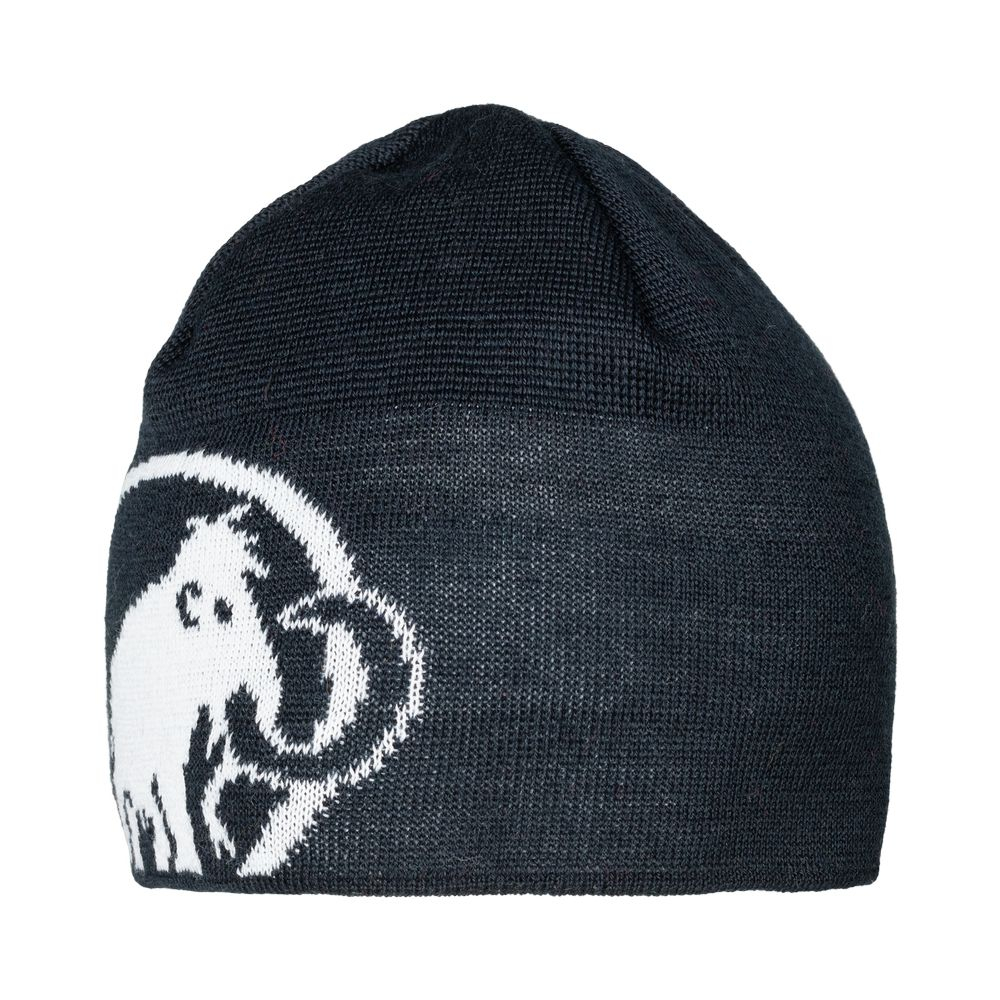 Bonnet Tweak Beanie Marine White