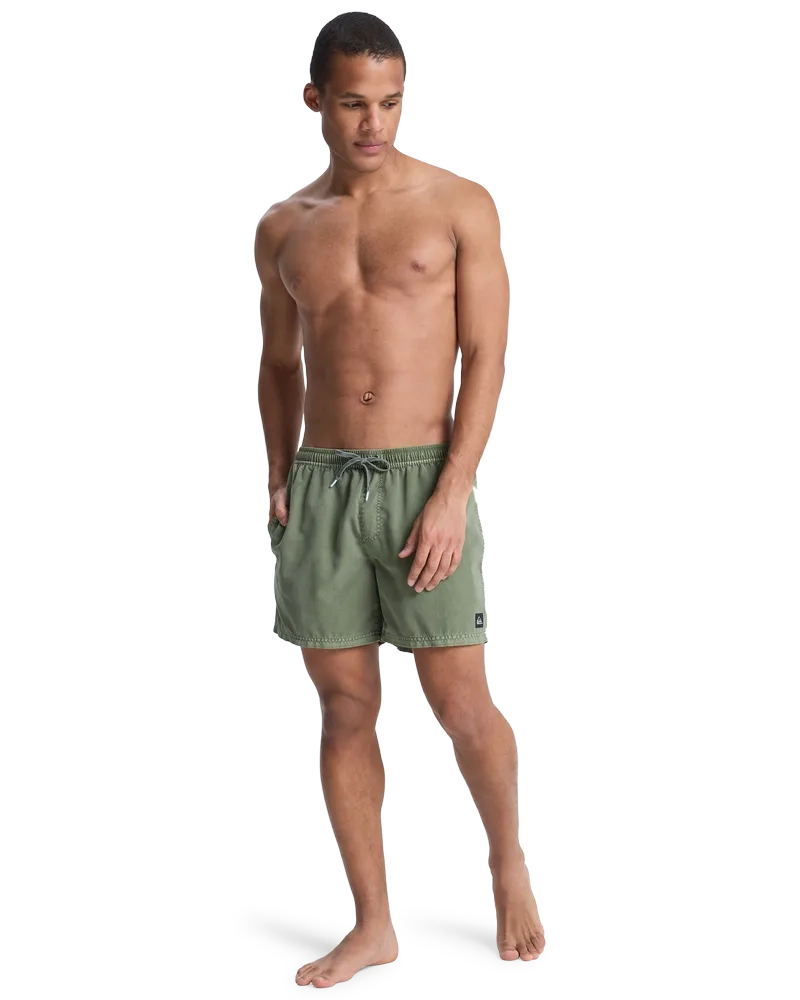 Everiday Surfwash Volley 15 Grape Leaf - Maillot de bain | Quiksilver