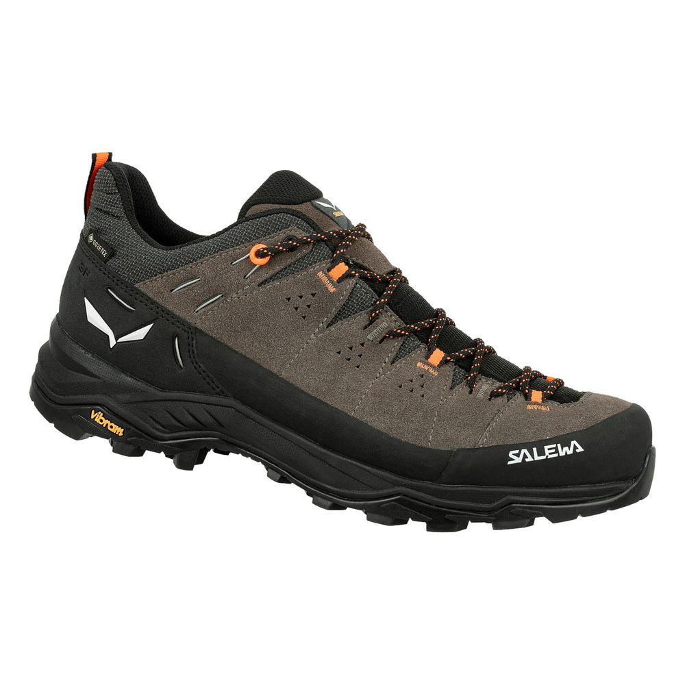 Alps Trainer 2 Gtx Bungee - Chaussures | Salewa