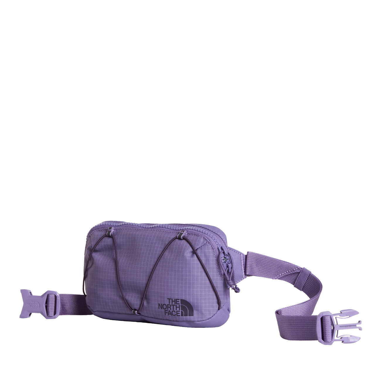 Terra Lumbar 1l Grounded Plum/ Endless - Pochettes | The North Face