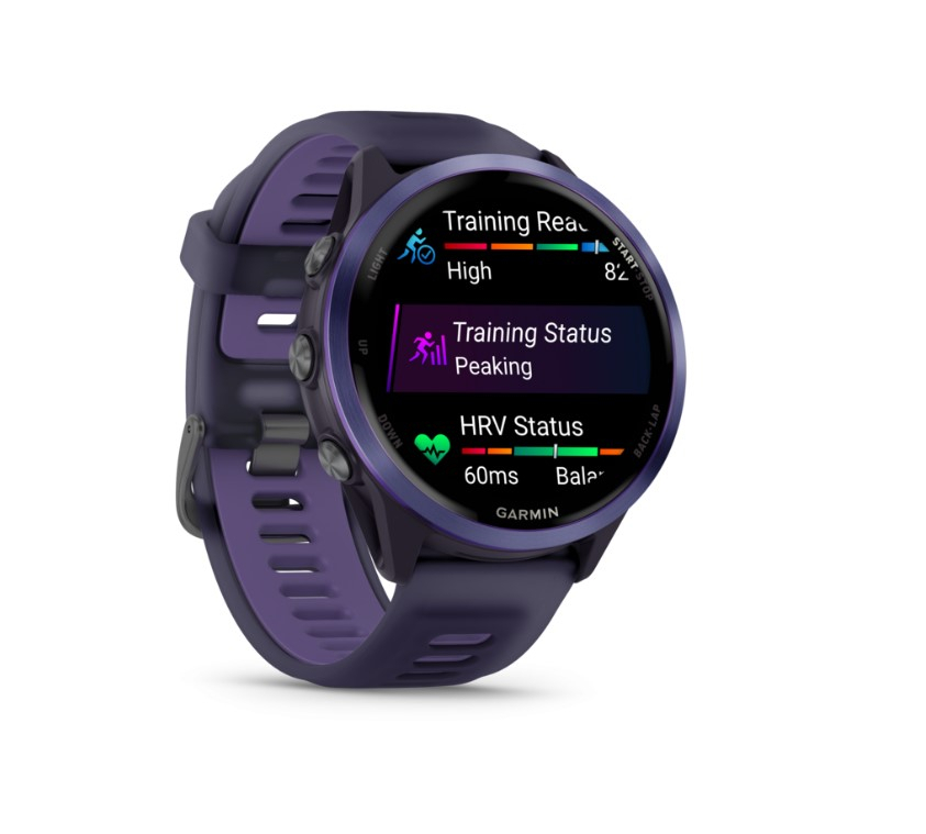 Forerunner 570 47mm Imperial Purple Indigo - Gps | Garmin