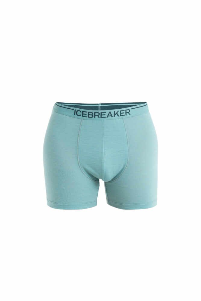 Boxer Anatomica Cloud Ray - Boxer | Icebreaker