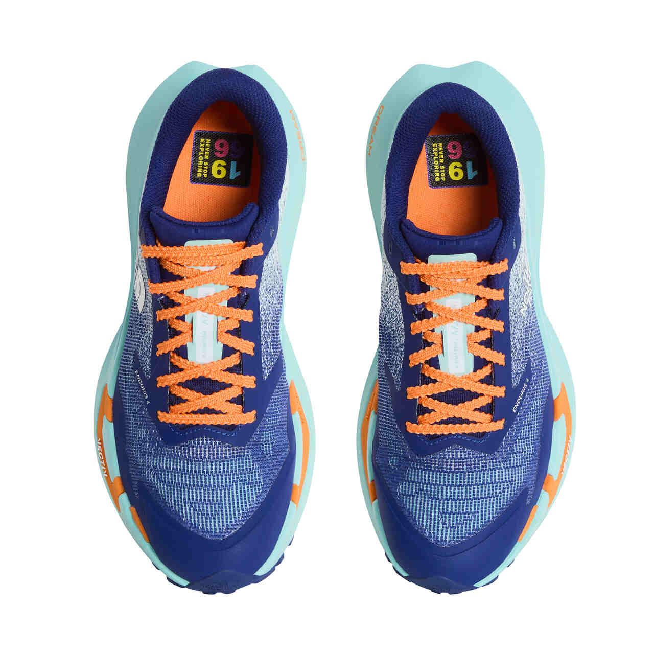 Vectiv Enduris 4 Femme Bold Blue/canal Blue - Chaussures | The North Face