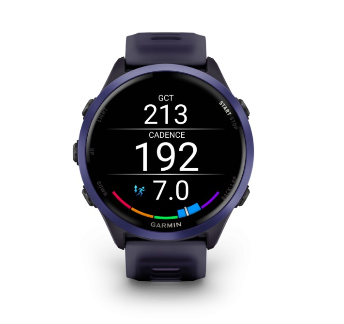 Forerunner 570 47mm Imperial Purple Indigo - Gps | Garmin