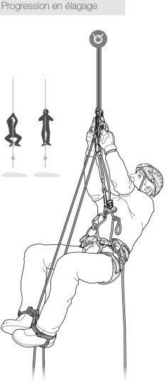 Pantin Droit - Bloqueur | Petzl