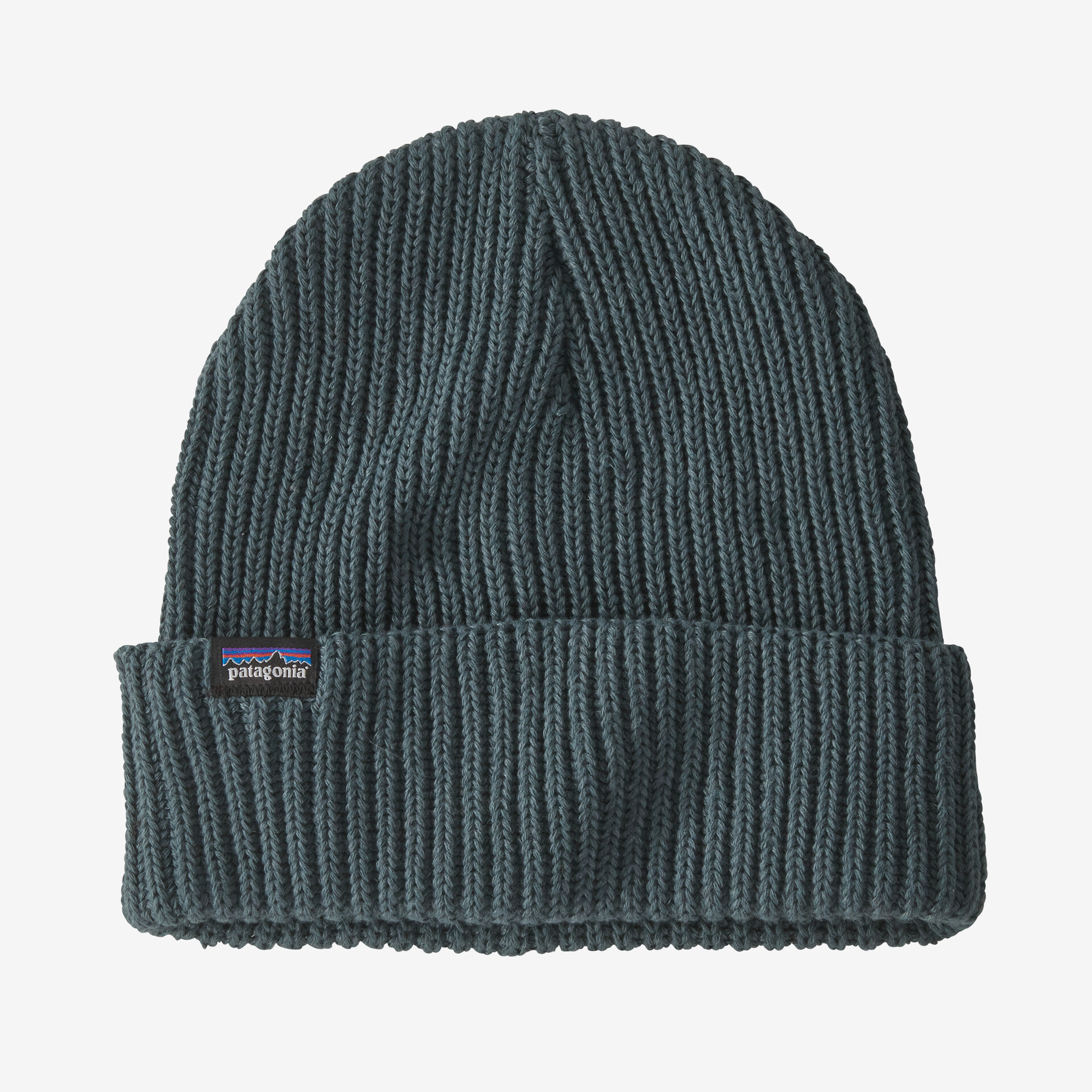 Bonnet Fishermans Rolled Beanie Nouveau Green - Bonnet | Patagonia