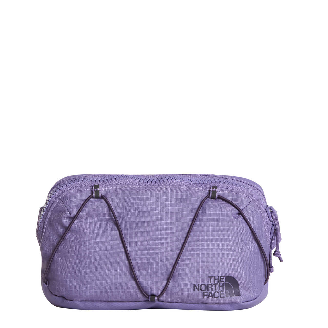 Terra Lumbar 1l Grounded Plum/ Endless - Pochettes | The North Face
