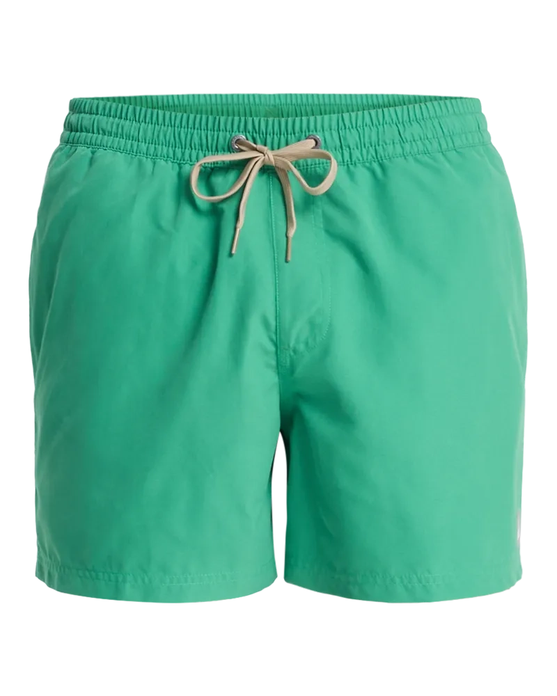 Everiday Volley 15 Leprechaun - Short | Quiksilver