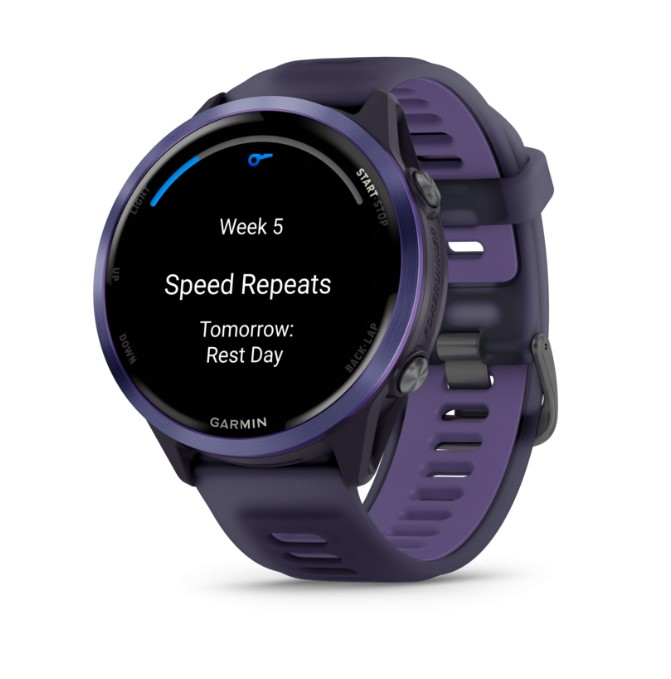 Forerunner 570 47mm Imperial Purple Indigo - Gps | Garmin