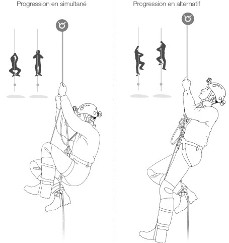 Pantin Droit - Bloqueur | Petzl