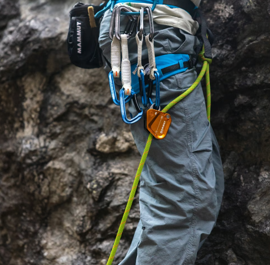 Mammut Assist Belay Resistor - Degaines | Mammut