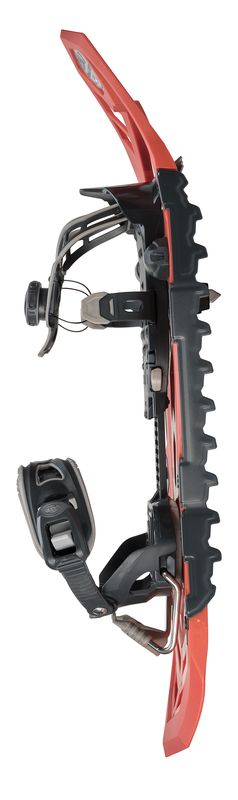 Highlander Original 2 Halloween - Raquettes | Tsl