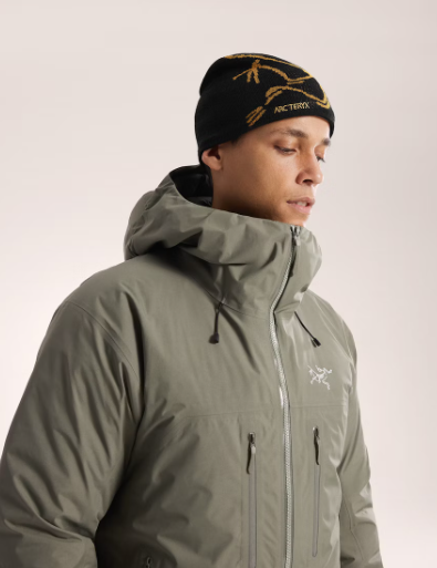 Bonnet Bird Head Toque Black Arcteryx