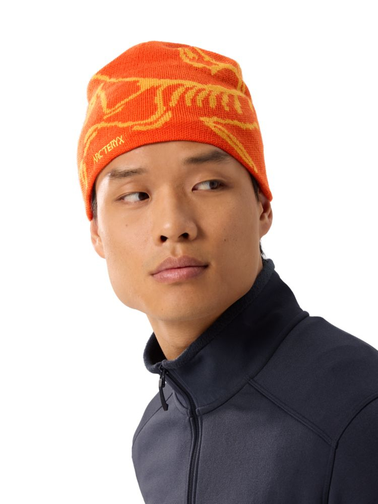 Bonnet Bird Head Solaris Edziza - Bonnet | Arcteryx