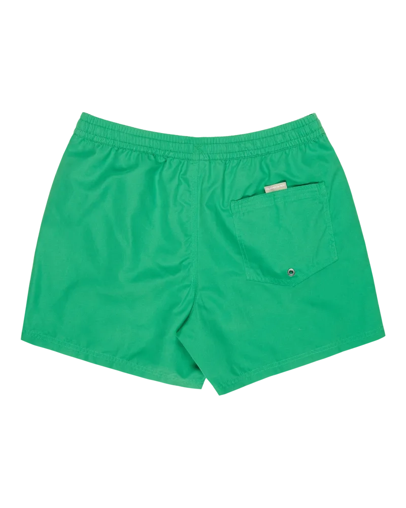 Everiday Volley 15 Leprechaun - Short | Quiksilver