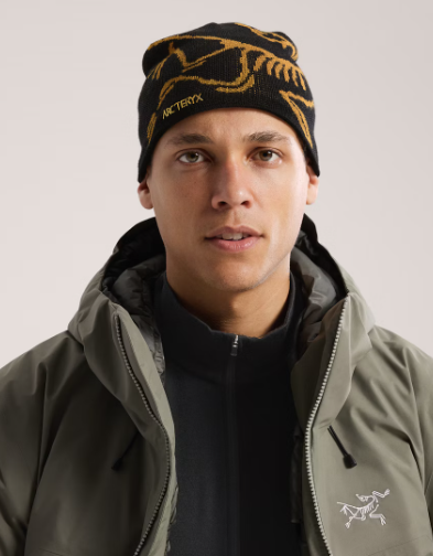 Bonnet Bird Head Toque Black Arcteryx