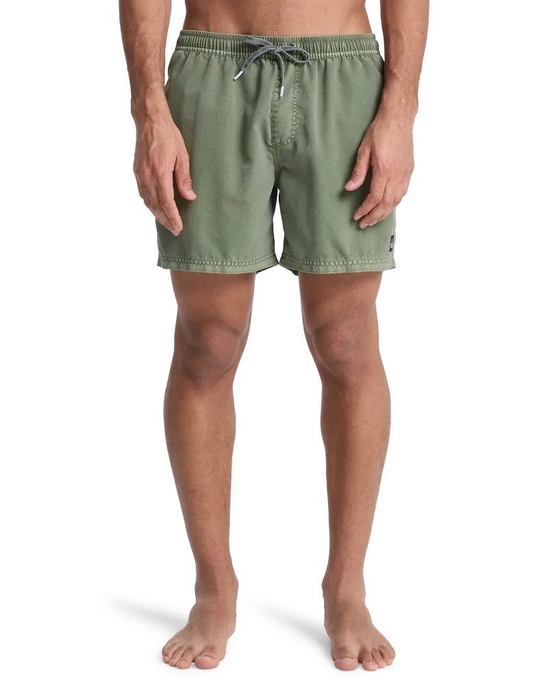 Everiday Surfwash Volley 15 Grape Leaf - Maillot de bain | Quiksilver