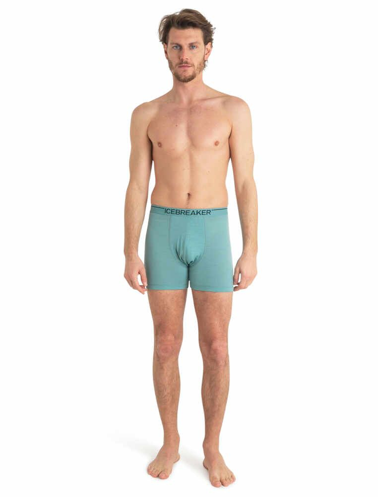 Boxer Anatomica Cloud Ray - Boxer | Icebreaker