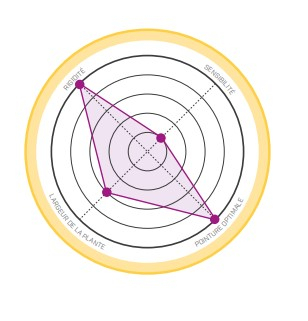 Tc Pro - Chaussons | La Sportiva