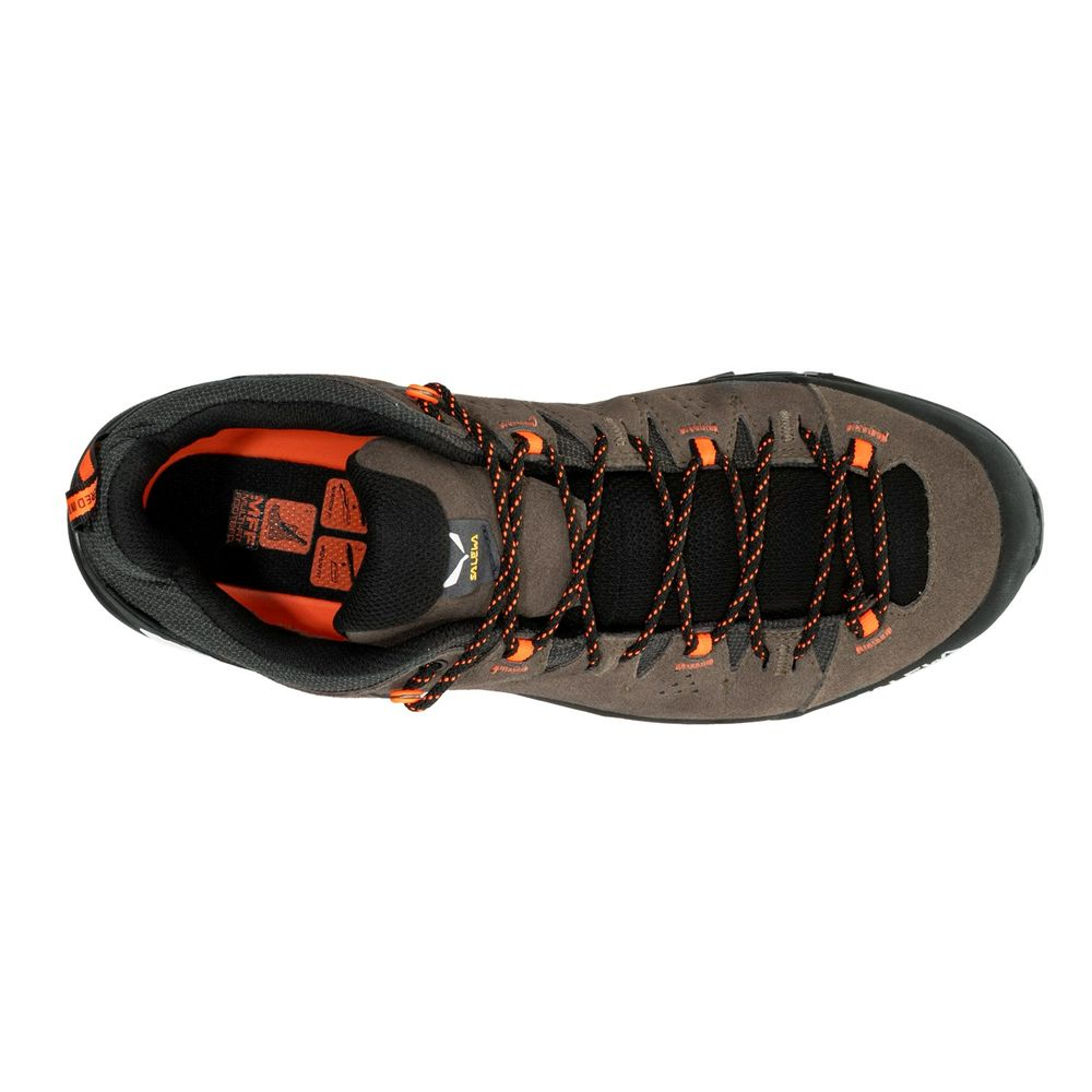 Alps Trainer 2 Gtx Bungee - Chaussures | Salewa