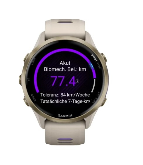 Forerunner 970 French Gray Indigo - Gps | Garmin