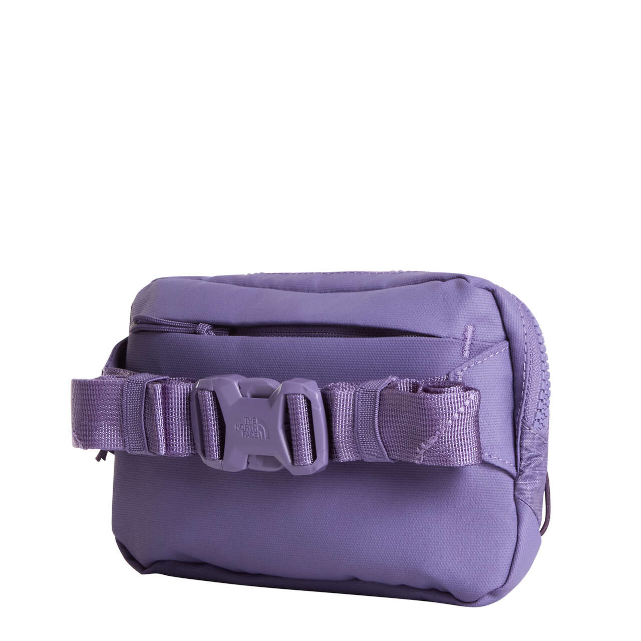Terra Lumbar 1l Grounded Plum/ Endless - Pochettes | The North Face