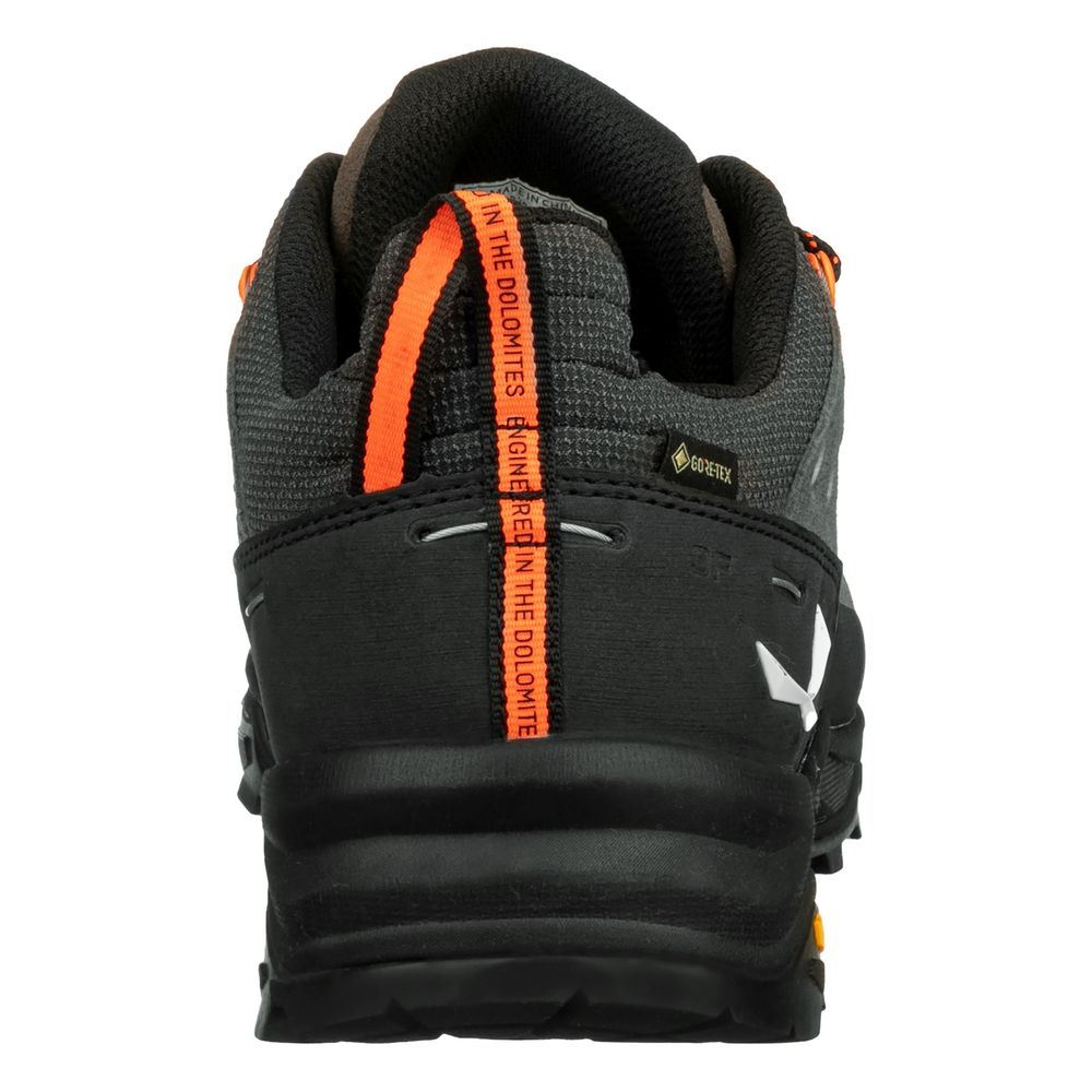 Alps Trainer 2 Gtx Bungee - Chaussures | Salewa