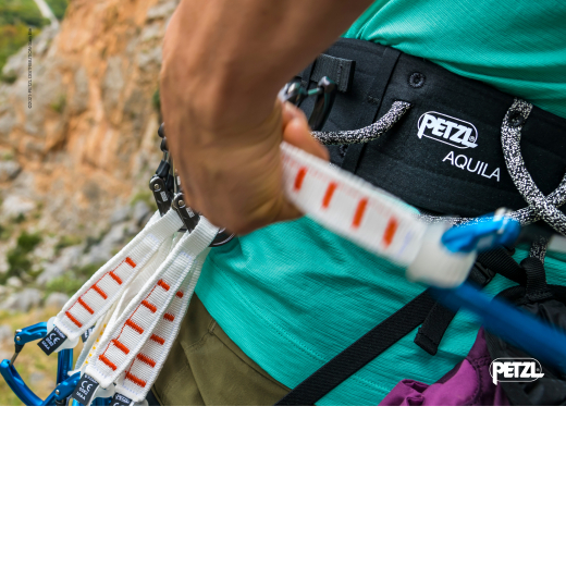 Ange L Bleu - Mousqueton | Petzl
