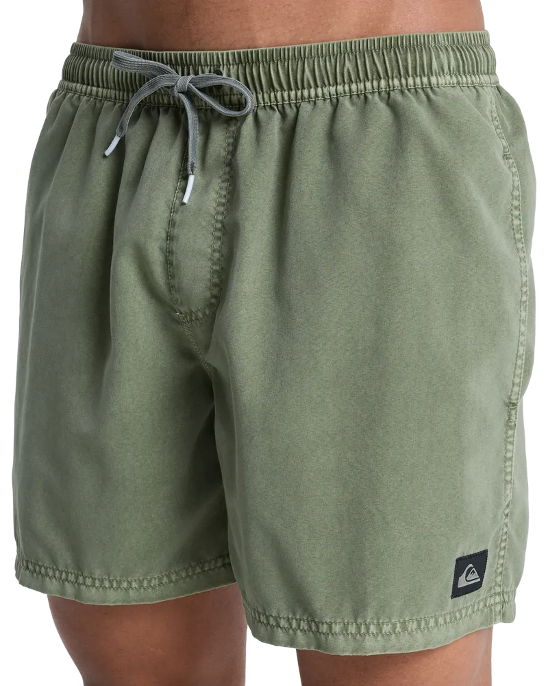 Everiday Surfwash Volley 15 Grape Leaf - Maillot de bain | Quiksilver