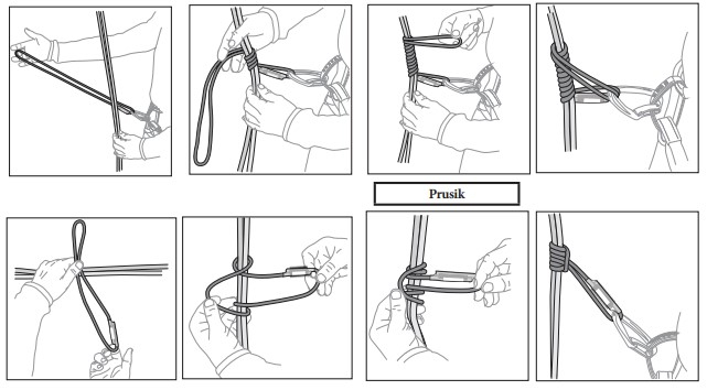 Jammy - Anneaux | Beal
