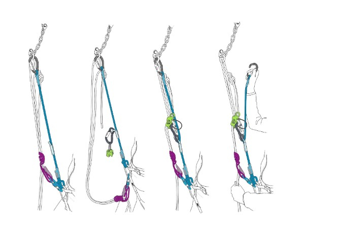 Longe Expresso - Longes | Beal