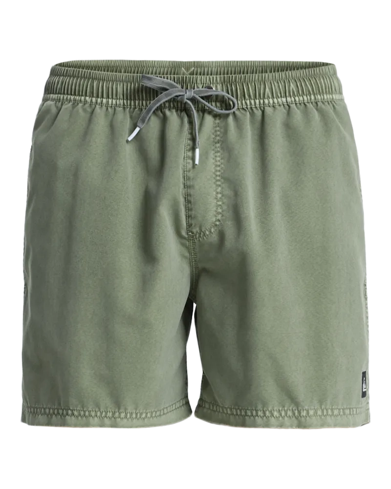 Everiday Surfwash Volley 15 Grape Leaf - Maillot de bain | Quiksilver