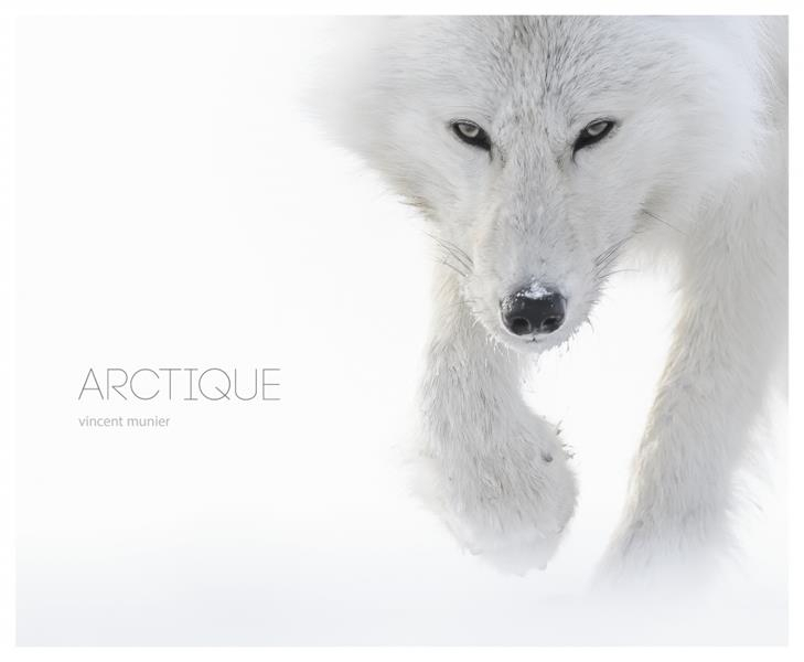 Arctique - Beaux Livres | Kobalann