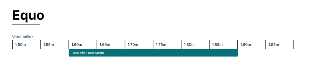 Equo Cargo Power 7.2 Gris Anthracite 720wh - Velo | O2feel
