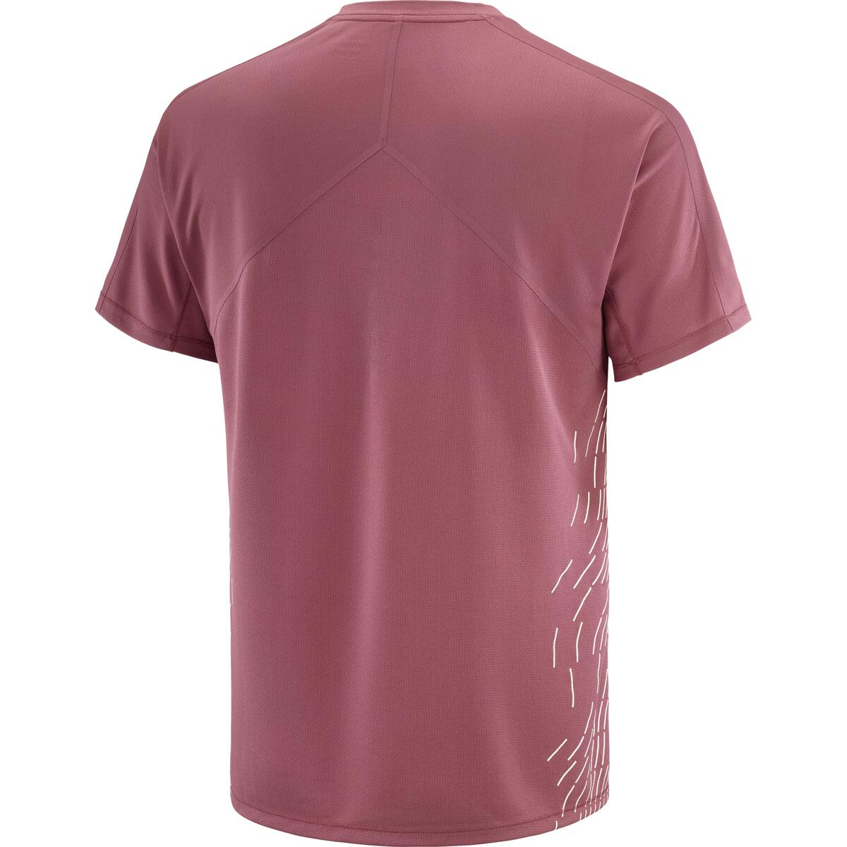 T-shirt Sense Aero Gfx Nocturne Whisper White - Tee Shirt Mc | Salomon
